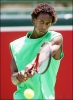 gael monfils photo