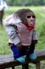 gary dell abate picture