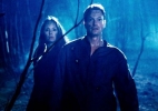 gary sinise image4