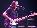 geddy lee