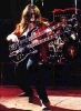 geddy lee image