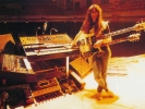 geddy lee image2
