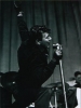 gene vincent image1
