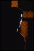 george chakiris picture4