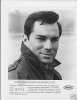 george maharis image4