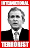george w  bush picture4
