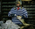 ghostface killah photo2