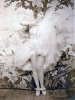gilda gray image1 gilda gray image1