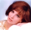 gina lollobrigida image1