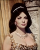 gina lollobrigida image3