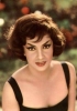 gina lollobrigida photo1
