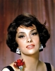 gina lollobrigida photo2