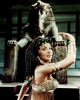 gina lollobrigida picture2