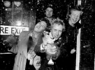 glen matlock image