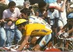 greg lemond
