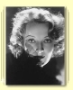 gwili andre picture3