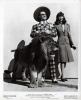 harold lloyd picture