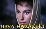 haya harareet