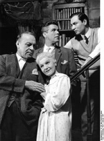 heinz drache
