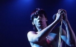 iggy pop