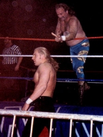 jake the snake roberts