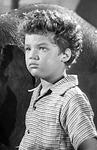 johnny sheffield