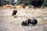 kevin carter