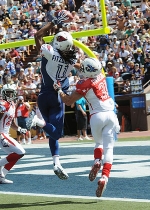 larry fitzgerald