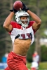larry fitzgerald image