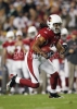 larry fitzgerald image2