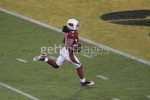 larry fitzgerald picture1