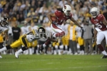 larry fitzgerald picture2