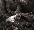 lars hanson picture