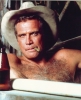 lee majors image2