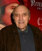 len lesser image