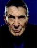 leonard nimoy photo