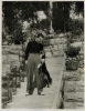 lew ayres image