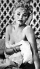 lili st  cyr image