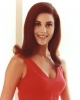 linda harrison image1