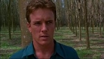 linden ashby