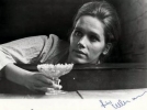 liv ullmann picture4
