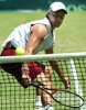 lleyton hewitt pic1