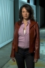 lola glaudini picture2