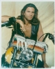 lorenzo lamas pic
