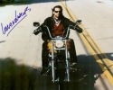 lorenzo lamas pic1