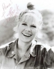 loretta swit photo1