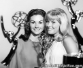lori saunders image