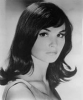 lori saunders image1