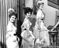 lori saunders photo