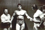 lou ferrigno image3